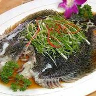 Whole turbot fish